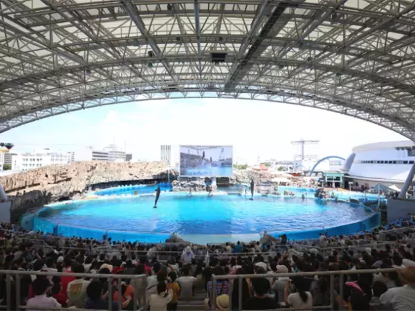 ホテル「ゴールドステイ大須」「ゴールドステイ栄」が名古屋港水族館とコラボレーションしたコンセプトルーム「HOTEL AQUARIUM」をオープン