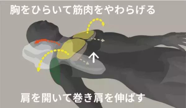 韓国で5万個販売「ゴッチョ背まくら」を体験型ストアに初出品　猫背や巻き肩など、姿勢に問題を抱えている方におすすめ！
