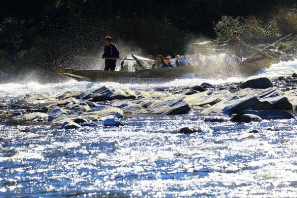 第19回秩父鉄道写真コンテスト応募開始！6/1(水)～7/31(日)　入賞作品の中から来年のカレンダーを作成