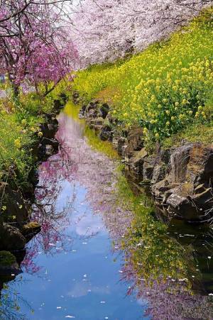 第19回秩父鉄道写真コンテスト応募開始！6/1(水)～7/31(日)　入賞作品の中から来年のカレンダーを作成