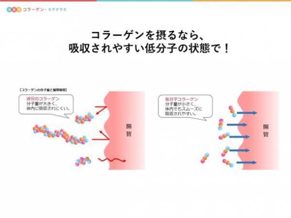 「次世代コラーゲン・カラダラボ」発足記念WEBセミナーを開催　海外で注目！肌だけじゃない“カラダのもと”となるコラーゲンのチカラ　最新トレンドからわかってきた、コラーゲンの賢い選び方
