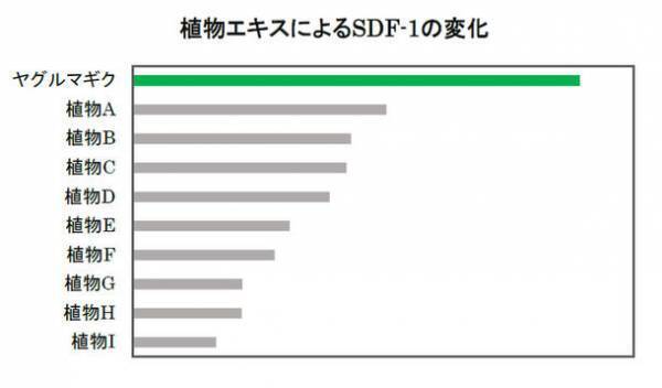ヤグルマギクにシミ抑制に関わる真皮の「SDF-1」を増やす効果を発見　第75回日本酸化ストレス学会学術集会にて発表