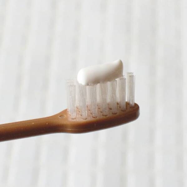 天然素材の組み合わせで健康的な口腔環境を実現　自然食品会社が独自開発した歯磨き粉「元気白い歯の素(GSE練歯みがき)」を5/2新発売