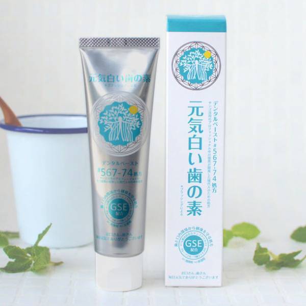 天然素材の組み合わせで健康的な口腔環境を実現　自然食品会社が独自開発した歯磨き粉「元気白い歯の素(GSE練歯みがき)」を5/2新発売