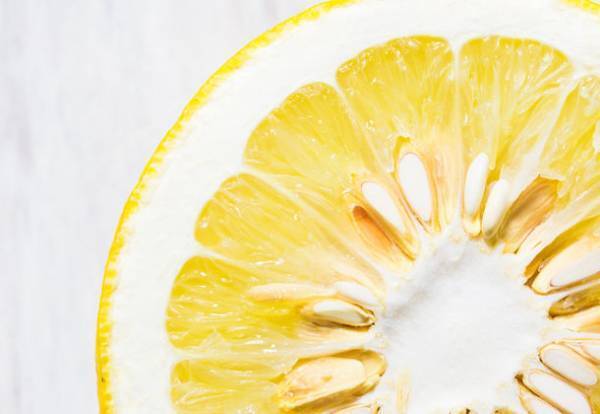 天然素材の組み合わせで健康的な口腔環境を実現　自然食品会社が独自開発した歯磨き粉「元気白い歯の素(GSE練歯みがき)」を5/2新発売