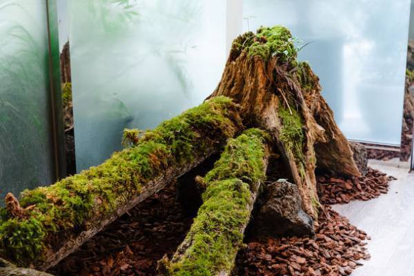 環境セミナー「サステナブルなモノづくりのコツ～最新の海外事例や国内実例をご紹介～」を6月2日に開催！