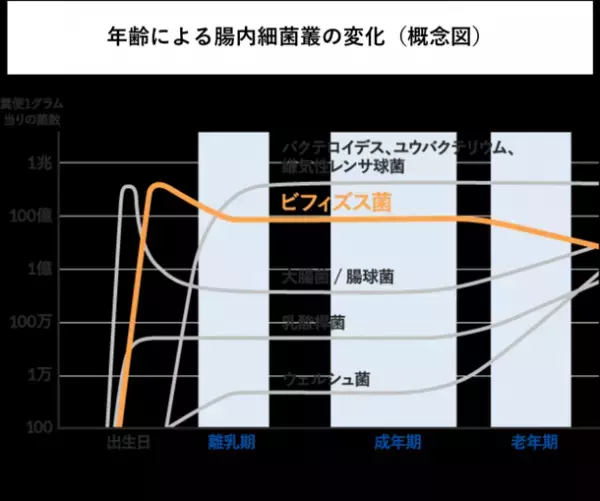 季節の変わり目は、便秘に要注意！腸内細菌が働く“オフィス”を綺麗に　「大腸劣化」の悪影響に関する小林 暁子先生監修の新着コラムを公開