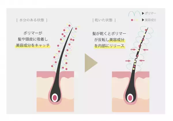 「レキシリス.ブラック フレグランス」シリーズよりスタイリングも出来る「アウトバストリートメント」が2022年6月15日より発売！