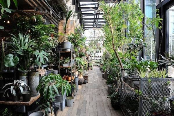 東海三県の陶磁器(やきもの)の魅力満載のイベント「器と暮らし市」を6月11日(土)・12日(日)に開催