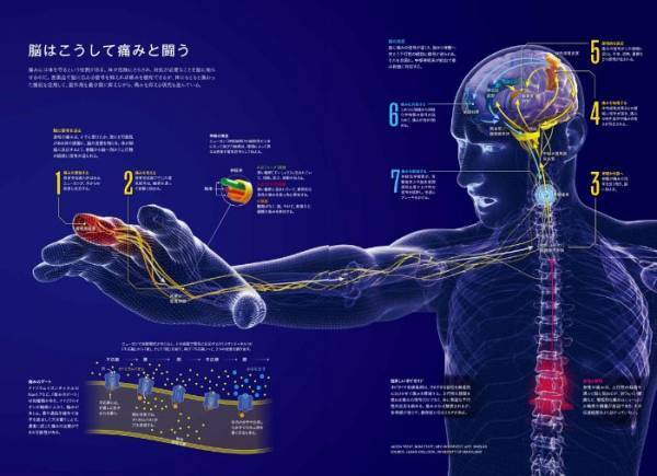 ビジュアル書籍『医療革命 あなたの命を守る未来の技術』5月31日（火）発売！