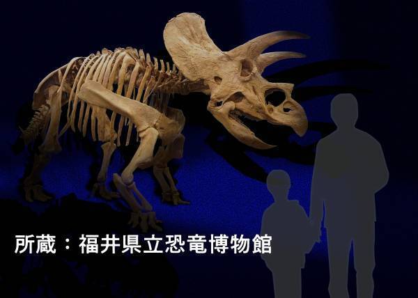 夏休みの夜、恐竜たちが潜むミュージアムを探検しよう！「大恐竜展２０２２～生き残りをかけた対決～」ナイトミュージアム