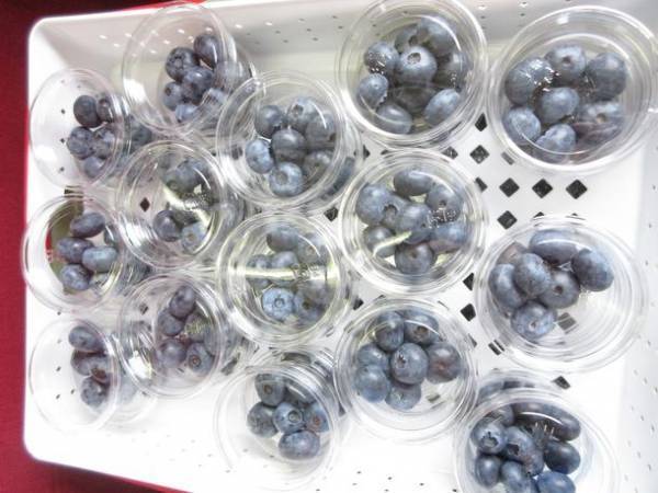 埼玉のおいしい魅力を「SLパレオエクスプレス」で！6月4日(土)、12日(日)、19日(日)には特別ヘッドマークを掲出し、運行！