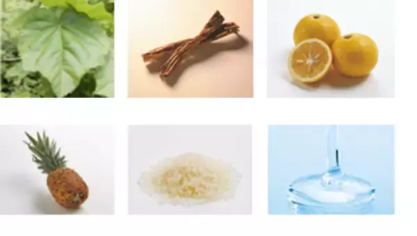 発売20周年を迎えた女性用育毛剤『リリィジュ』から世界初※1の冷却育毛剤『薬用リリィジュ 冷感育毛エッセンス』を新発売