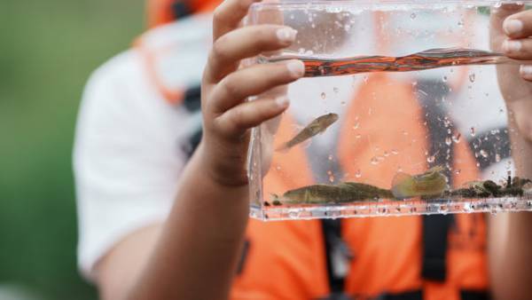 ～未来を支える子どもたちへ～身近な河川で学ぶ楽しい自然環境校外学習