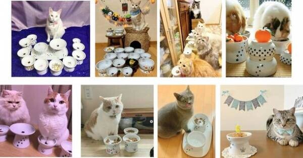 猫用食器「ハッピーダイニングシリーズ」に数量限定でBOTANICAL GARDEN柄食器が登場！6月上旬新発売累計200万個突破のSNSで話題のシリーズ