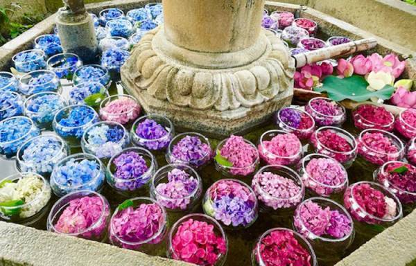 お気に入りのアートを京阪沿線で発見！連続企画「デジタルスタンプラリー みっけ！アート＆ウォーク」の第2弾「心ときめくお庭とスイーツ！癒やしのアートさんぽ」を実施します