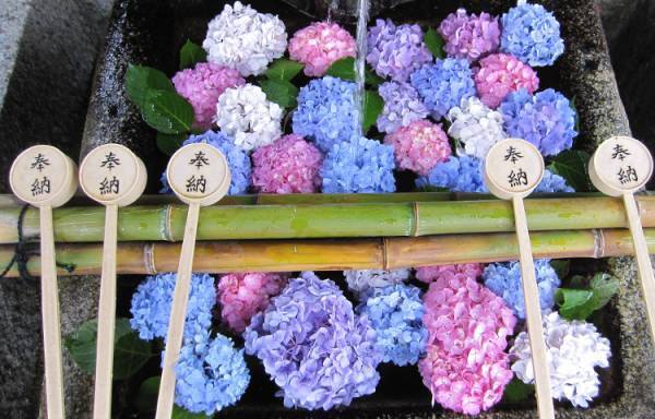 お気に入りのアートを京阪沿線で発見！連続企画「デジタルスタンプラリー みっけ！アート＆ウォーク」の第2弾「心ときめくお庭とスイーツ！癒やしのアートさんぽ」を実施します