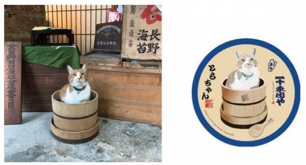 長野 善光寺近くの古民家ショップ「一十東団や(いちじゅうとうだんや)」ねこ店長から「オリジナル招福シール」を6月11日～29日にプレゼント