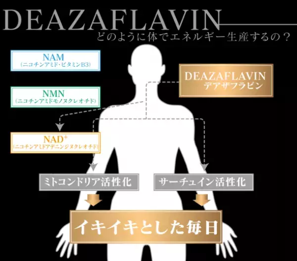 NMNの次に来る細胞活性成分＜デアザフラビン＞と＜5-ALA＞をW配合した世界初※のサプリメント『DEAZAFLAVIN plus 5-ALA』を6月上旬に発売