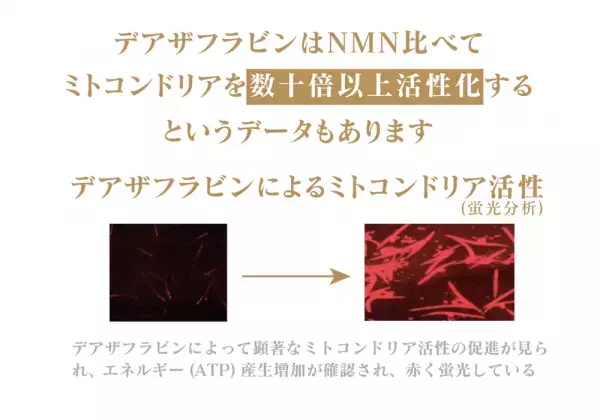 NMNの次に来る細胞活性成分＜デアザフラビン＞と＜5-ALA＞をW配合した世界初※のサプリメント『DEAZAFLAVIN plus 5-ALA』を6月上旬に発売