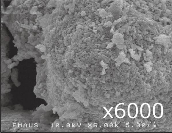 “珊瑚の白泥美容”(パラオホワイトクレイ)　徹底した頭皮ケアで美髪・ツヤ髪へ導くヘアケアが登場！「LAVIEWL／ラビュール」からシャンプー＆トリートメントが2022年6月17日(金)発売