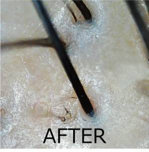 “珊瑚の白泥美容”(パラオホワイトクレイ)　徹底した頭皮ケアで美髪・ツヤ髪へ導くヘアケアが登場！「LAVIEWL／ラビュール」からシャンプー＆トリートメントが2022年6月17日(金)発売