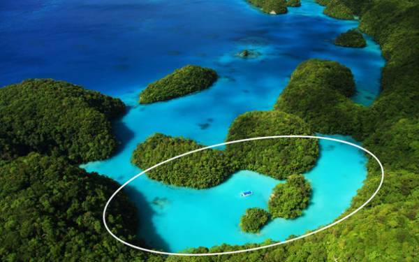 “珊瑚の白泥美容”(パラオホワイトクレイ)　徹底した頭皮ケアで美髪・ツヤ髪へ導くヘアケアが登場！「LAVIEWL／ラビュール」からシャンプー＆トリートメントが2022年6月17日(金)発売