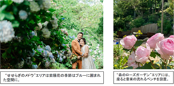 ROKKO森の音ミュージアム6月より「ウェディングフォトプラン」スタート六甲山の自然の中で、特別なウェディングフォトを