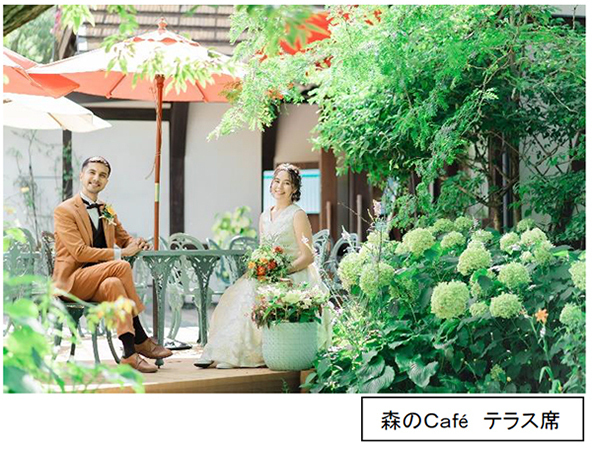 ROKKO森の音ミュージアム6月より「ウェディングフォトプラン」スタート六甲山の自然の中で、特別なウェディングフォトを