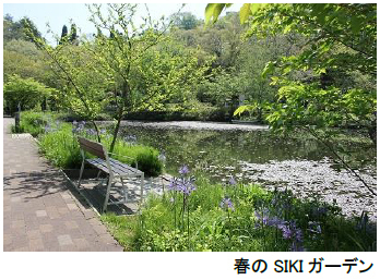 ROKKO森の音ミュージアム【6月中旬～7月中旬】バラが見頃を迎えます！