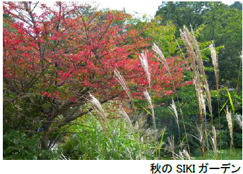 ROKKO森の音ミュージアム【6月中旬～7月中旬】バラが見頃を迎えます！