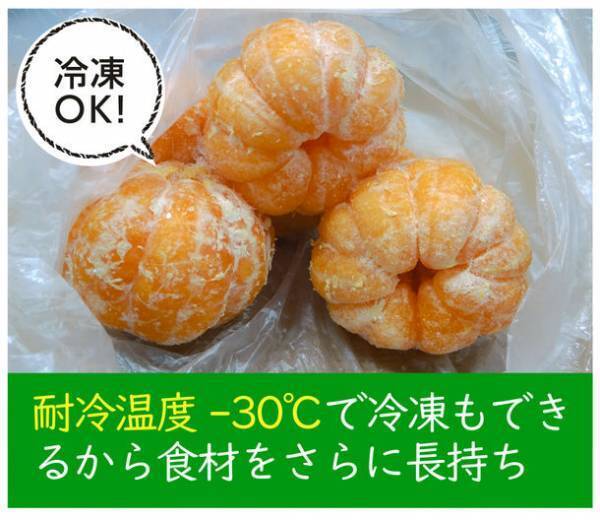 Makuakeで目標金額900％近くを達成！マルチ鮮度保持袋「タモテール」がアマゾンにて一般販売開始！