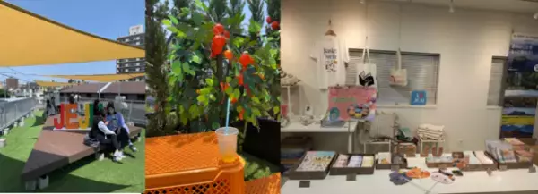 【開催報告】大阪コリアタウンが韓国・チェジュ島に染まった34日間！『JEJUマルシェ in大阪コリアタウン2022』のスペシャル企画がYouTubeで公開！