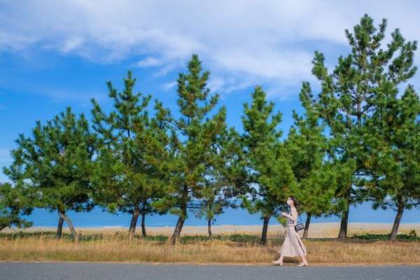 ふわっととろけるような食感、果実をたっぷり使ったスムージーショップ「mellow」(兵庫県香美町)に新作多数登場！