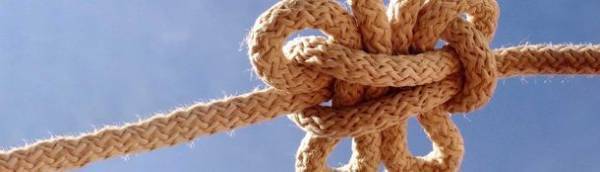 絶対解のない時代の「文脈」に沿ったリーダーシップ開発　管理職向けサーベイ・フィードバック研修「CSL」をリリースへ