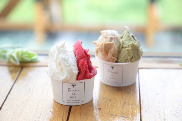 初夏のうまいもの大会に神奈川の行列店 支那そばや本店が初登場