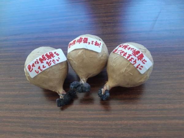 山梨県身延町の「下部ホテル」と市川三郷町の花火メーカー「マルゴー」がプライベート花火打上げプランを今年も販売開始