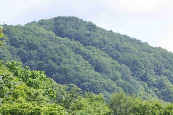 新潟県に全国57カ所目・58カ所目のトラスト地誕生　「妙高の森トラスト」(39,648m2)・「長岡ヤマドリの森トラスト」(25,628m2)　― 全国の総面積は1,749万m2に ―