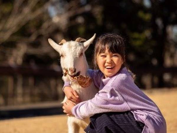 「初夏のけやき彩2022」6月25日・26日けやきひろばで開催　ふれあい動物園やエアー遊具、プログラミング教室など体験可能