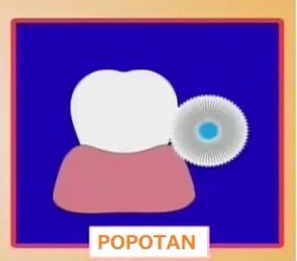 STI-IR(スティアー)360度毛歯ブラシ「POPOTAN」はオーラアルケアの救世主となるか！