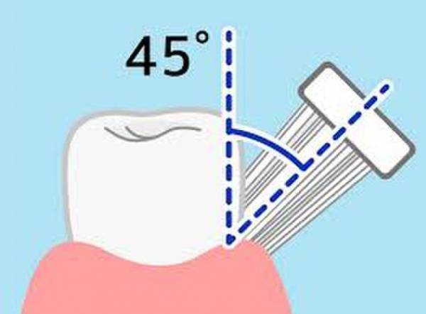 STI-IR(スティアー)360度毛歯ブラシ「POPOTAN」はオーラアルケアの救世主となるか！