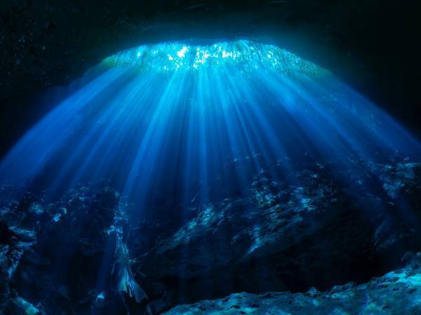 コニカミノルタプラネタリウム【夏の新上映作品】大好評！KAGAYA作品「水の惑星　-星の旅シリーズ-」夏の星座案内付き「ポケットモンスター　オーロラからのメッセージ」