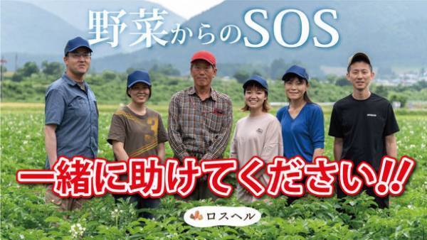 規格外野菜の定期宅配サービス「ロスヘル」がクラウドファンディングをREADYFORにて6/10より開始