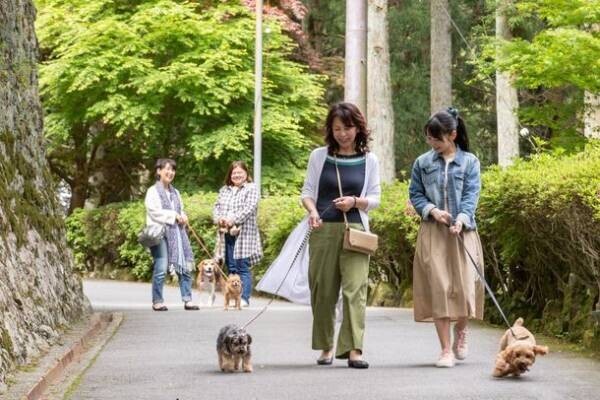 ドッグランやワンコお守りなど愛犬とともに参拝を歓迎する取組を日本遺産・西国三十三所の古刹が実施し来場者(犬)数が10倍に増加