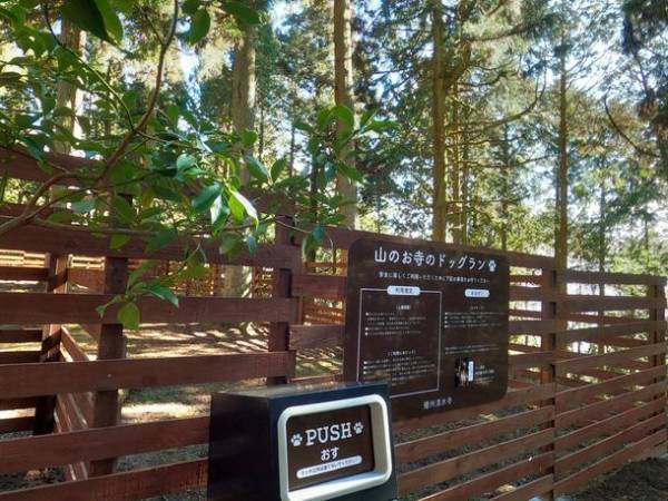 ドッグランやワンコお守りなど愛犬とともに参拝を歓迎する取組を日本遺産・西国三十三所の古刹が実施し来場者(犬)数が10倍に増加