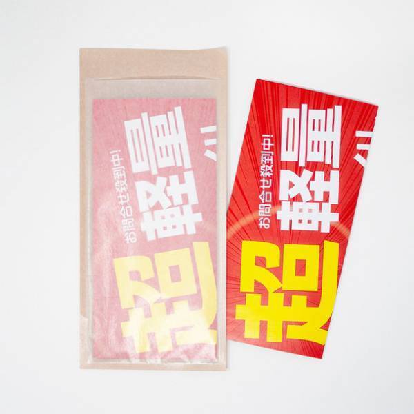 透明袋のDMを簡単に脱プラへ　グラシン紙を使用した片面全体が半透明の特殊封筒「販促用グラス封筒」を6/15に発売