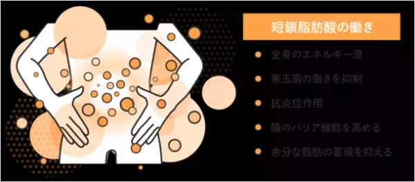 ヤセ体質の決め手は大腸にあり！～話題のヤセ菌を増やす3つのメソッド～　「予防と対策」に関する小林 暁子先生監修の新着コラムを公開