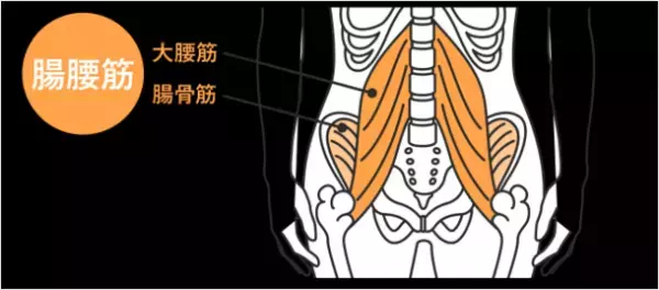 ヤセ体質の決め手は大腸にあり！～話題のヤセ菌を増やす3つのメソッド～　「予防と対策」に関する小林 暁子先生監修の新着コラムを公開