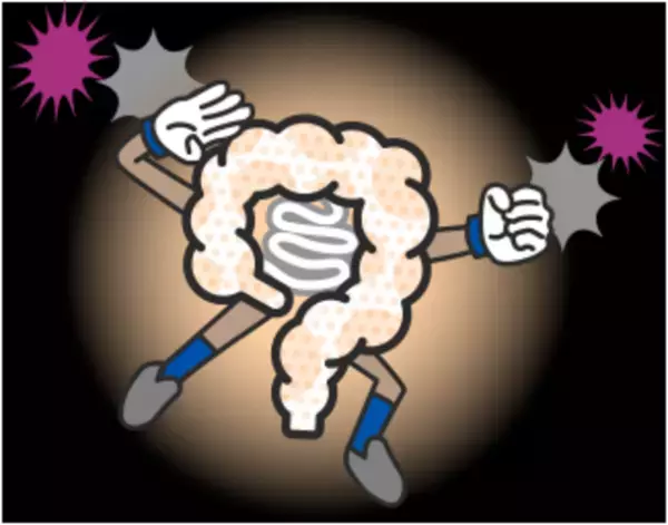 ヤセ体質の決め手は大腸にあり！～話題のヤセ菌を増やす3つのメソッド～　「予防と対策」に関する小林 暁子先生監修の新着コラムを公開