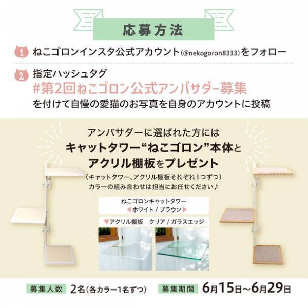 窓枠取り付け型キャットタワー「ねこゴロン」　Instagramにて第2回公式アンバサダーの募集を開始